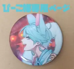 ぴーこ様専用ページ