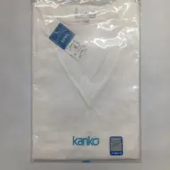 Item thumbnail for item e8dc99f6-09c5-4355-9b3b-ccbfb89539fe