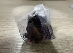 ブレディヴェーグ　エリザベス女王杯　アイドルホースガチャ　競馬