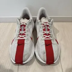 Nike ZoomX ペガサスプラス　27cmホワイト/レッド