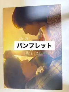今夜、世界からこの恋が消えても パンフレット