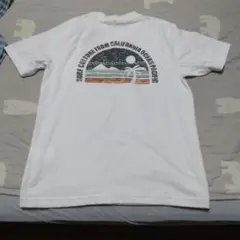 ocean pacific サーフカルチャー Tシャツ M
