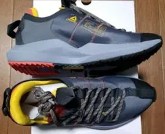新品未使用 Reebok SOLEFULY OT です。