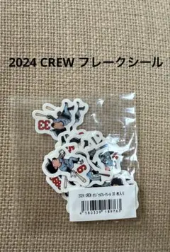 2024 スワローズ クルー オリジナル フレークシール 30枚入