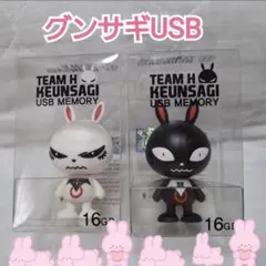 チャン・グンソク人形 なんちゃって弁当 1月14日 SUK人形ーPART1 動画＆写真 | 追憶ー2