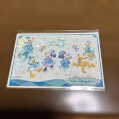 ディズニーシー25周年　クッキー　シール　ミッキー　ミニー　チップ