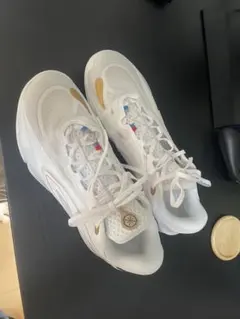 wade 808 5 ultra, バスケットボール