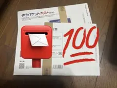 【100枚】ゆうパケットポストmini専用封筒