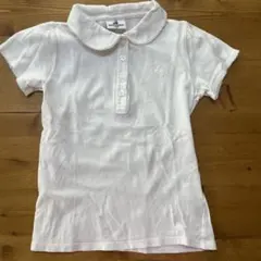 Item thumbnail for item 99c1eb31-7f5b-4f9d-a1e4-2313a12f58a4