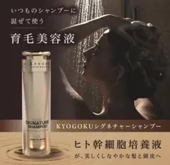KYOGOKU シグネチャーシャンプー詰め替え - メルカリ