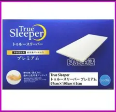 Item thumbnail for item 0697b39e-a4f5-4873-80ea-0aa61eae34e8