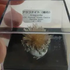 希少！輝く結晶！タタフィン隕石標本 - メルカリ