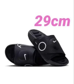 Hyperice × Nike Air Zoom black 29