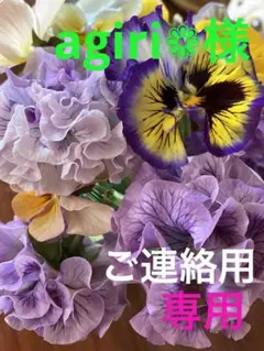 ❤️agiri❁様❤️専用のページ❤️