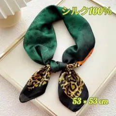 Item thumbnail for item e2da2c19-9d2d-4243-8a2a-5d9ec406c448