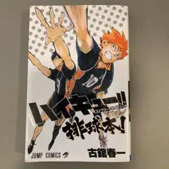 ハイキュー!! コンプリートガイドブック 排球本!