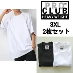 白黒2枚 PROCLUB Tシャツ 3XL 半袖 ヘヴィーウェイト プロクラブ