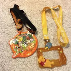 ディズニー　チケットホルダー