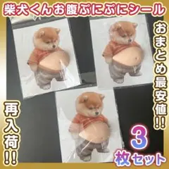 お腹 ぷにぷに シール 柴犬 3D 立体ステッカー ぷっくりお腹 いぬ 3枚