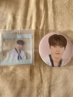 ディノ缶バッジキーホルダー