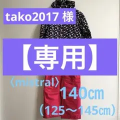 〈mistral〉140㎝(125〜145㎝) スキーウェア 上下セット 女の子