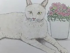 ペン＆色鉛筆画　猫のサムネイル