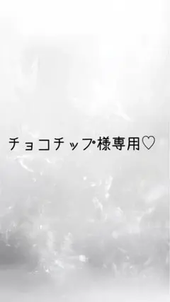 チョコチップ様専用ページ