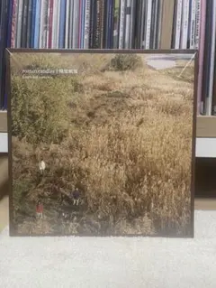 The La's LP レコード ラーズ 1990年オリジナルUK盤 - メルカリ