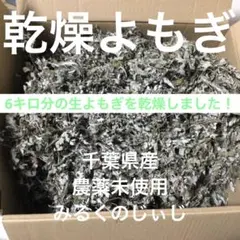 乾燥よもぎ　6キロ分の生よもぎを乾燥しました！千葉県産農薬未使用のサムネイル