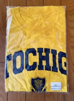 栃木SC Tシャツ 2011