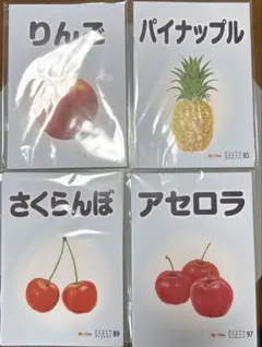 『2026年新品未使用』ベビーパーク ピクチャーブックレット 果物 全16冊
