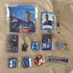 【大特価！】大阪ブルテオン選手グッズ12点セット
