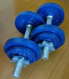 ダンベル10kg✕2セット　レトロタイプ ※引き渡し専用のサムネイル