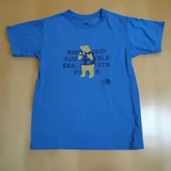 THE NORTH FACE キッズ Tシャツ SHIRETOKO 知床のサムネイル