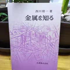 Item thumbnail for item afd8e80a-36ad-4df4-bae3-f7e1ef2bdbcc