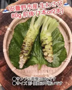 安曇野産 80g前後 信州 安曇野 本わさび 生ワサビ あづみ野 山葵 沢わさびのサムネイル