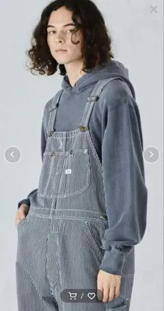 Lee DUNGAREESオーバーオールパンツ（ヒッコリー）