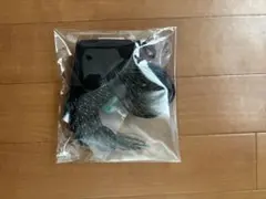 Item thumbnail for item c1b08147-6c86-4730-8187-247ee31f2857