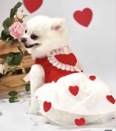 犬用 ハート柄 チュール ドレス レッドMのサムネイル