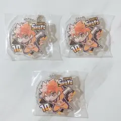 ハイキュー！日向翔陽　アクリルキーホルダーセット
