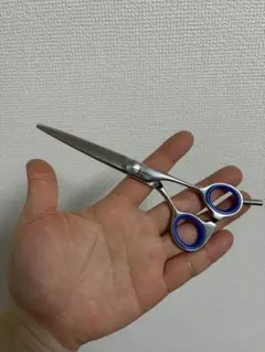 ⭐︎極美品　三和技研　サンワ　シザー　メガネタイプ 2026年最新】三和技研の人気アイテム - メルカリ