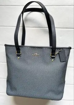 希少COACH（コーチ）のエクスプローデッド レップス トートバッグF20936