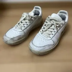 Item thumbnail for item f9418718-cd9c-4a91-ba94-bda668d22e54