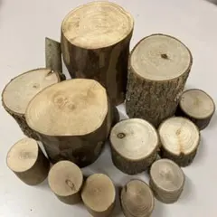 テーブル[楠の木 ☆輪切り稀少!]二股　●メルカリ頼める便発送❗ テーブル[楠の木 ☆輪切り稀少!]二股 ○メルカリ頼める便発送