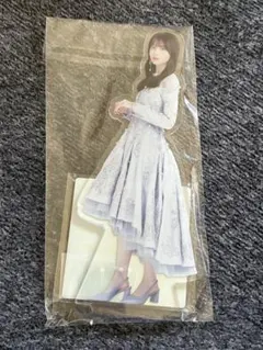 乃木坂46 lucky bag 2026 アクリルスタンド　賀喜遥香 乃木坂46 lucky bag 2026 アクリルスタンド 賀喜遥香 【公式通販】