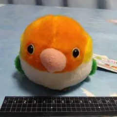 みんなのことり隊　シロハラインコ