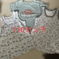 恐竜Tシャツand下着