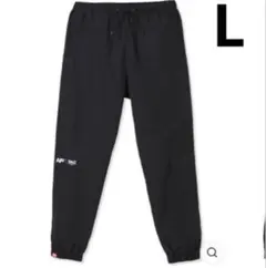 Item thumbnail for item d23a5169-36c1-46c4-9a4e-dc3a5439f050