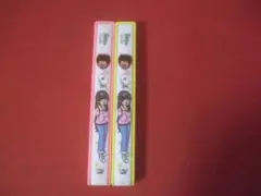 お値下げ★かぼちゃワインの箸箱★色違い2個セット