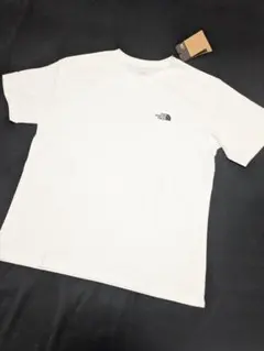 THE NORTH FACE WHITE LABEL 前後プリント Tシャツ L